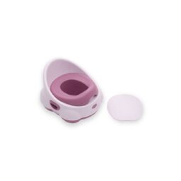 ORINAL APRENDIZAJE ROSA